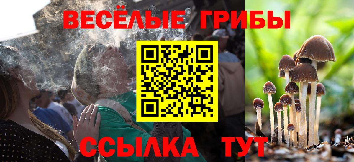 Галлюциногенные грибы Psilocybine cubensis  Галлюциногенные грибы GOLDEN TEACHER  где найти   Вход с VPN  Самара 